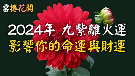 離火運 八字|【2024離火運】2024離火運點名2羣人！即將大旺長達20年！